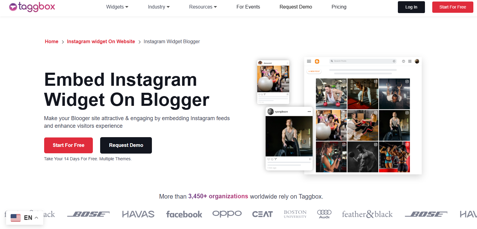 Taggbox –Instagram Widget for Blogger